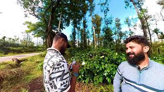 Coffe Plant | Sakaleshpura | Coffee Farming | ಕನ್ನಡ | Karnataka | Hasana | chikmagalur...