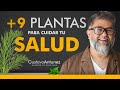 +9 PLANTAS para cuidar tu SALUD con Feng Shui este 2024 🌹🍀❤️ (Gustavo Antunez, Maestro de Feng Shui)