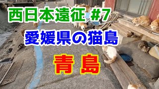 【愛媛県青島】瀬戸内海のもう一つの猫島も猫で溢れていた