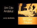 Um Cão Andaluz (1929), de Luis Buñuel, curta-metragem, com legendas em português