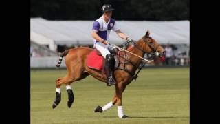 Prince Harry’s Most Handsome and Athletic Moments