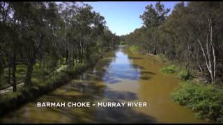 The Barmah Choke