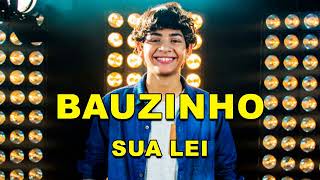 BAUZINHO - SUA LEI