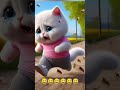 😅 cute cat animals funnyvideo youtubeshorts animal shortsfeed shortsviral viralvideo like subscribe