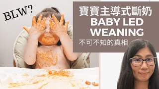 寶寶主導式斷奶 baby led weaning - 營養師分析BLW利與弊, 為寶寶引進固體食物零風險 (中/EngSub)