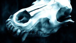I Hunted the Beast but Something Even More Terrifying Is Coming - Witch Hunt