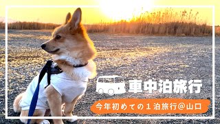 【愛犬と車中泊】今年初の1泊旅行！現地で迎える夜と朝を愛犬サクと楽しめました【移動•宿泊】