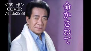 💎  先行歌唱（試作）新曲「命かさねて」大川栄策　COVER  ♪ hide2288新曲