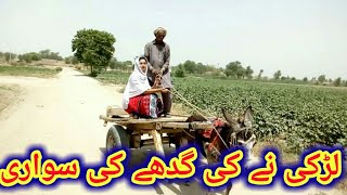 Village mei gdhy swaari kaise ki jaati hai