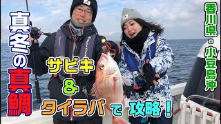 香川県・小豆島沖のタイラバサビキ（ガッ釣り関西｜2021年1月30日放送）