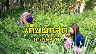 ลมหนาวพัดมาที่เมืองคอง EP.5 เตียวแอ่วกาดน้อยซื้อผักเด็ดคาสวนกันสดๆ สุดยอดความอบอุ่นของคนที่นี่