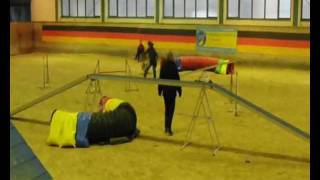 Agility VDH DM / DJM 2011 A3 Anna Lang u. Lexa