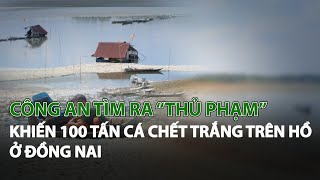 Công an tìm ra “thủ phạm” khiến 100 tấn cá chết trắng trên hồ ở Đồng Nai| VTC14