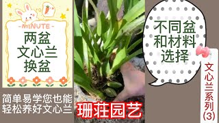 珊荘园艺 (023) 文心兰系列三 :详细讲解两盆文心兰换盆可以用的两种植料选择和应该选什么盆的重要