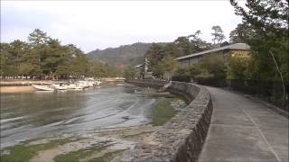 厳島神社(2)2015.2.11