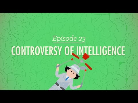 What are the different types of intelligence tests?