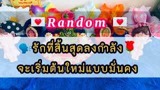 #Random📖#รักที่สิ้นสุดลงกำลังจะเริ่มต้นใหม่แบบมั่นคงและสวยงาม#💞👩‍❤️‍👨💞👩‍❤️‍👨💍✈️