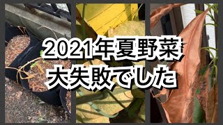 【活かす暮らし】２年目のプランター畑（8月〜9月）訳あって春夏野菜は失敗でした　害虫　病気　水不足　日照不足