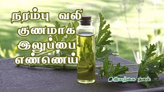 நரம்பு வலி குணமாக இலுப்பை எண்ணெய்