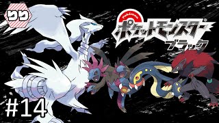 【生配信】完全初見！じっくり楽しむイッシュ地方【ポケットモンスターブラック 実況】#14