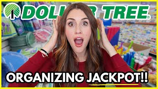 *NEW* ORGANIZATION SCORES AT DOLLAR TREE 🤩 (hacks and hidden finds you need to see!)