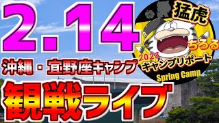 【阪神タイガース 虎党集合 速報】LIVE❗❗❗2/14 阪神タイガース宜野座キャンプ生中継1球実況配信 #阪神タイガース #キャンプ観戦 #宜野座ライブ #プロ野球 #阪神キャンプ #タイガース