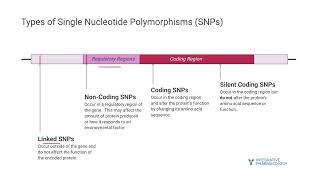 Genetic Polymorphisms