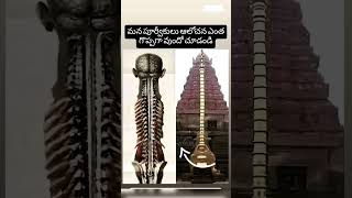 మెడ వెముక నుండి వెన్నుపూస క్రింద వరకు ఎలా ఉందో అలానే ఒక గుడి ధ్వజస్తంభం ఉంటది అంట #history #facts