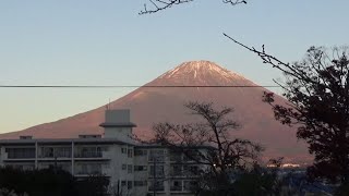 釣り遠征！夢の国は存在した！【伝説のフィールド東山湖】