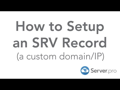 How to Setup an SRV Record (a custom domain/IP) - Server.pro How to Setup an SRV Record (a custom domain/IP) - Server.pro