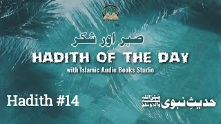 Hadith of the Day #14 | Sabr or Shukr | Patience |Urdu Hadees~Daily Reminder| IAB Studio