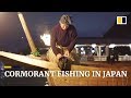 Japan’s ‘usho’ keep cormorant fishing ritual alive