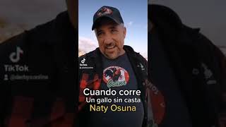 Cuando un gallo corre.  Naty Osuna