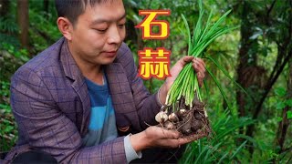 彼岸花又名曼珠沙华,象征着永恒的思念,你知道多少它的花语?