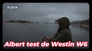 DROPSHOT KONING TEST DE WESTIN W6! #SNOEKBAARS