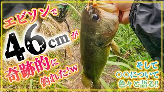 夏の霞は流入河川が楽しいぞ！そして色々と語る男w【霞水系】