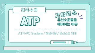 운동을 위한 에너지를 얻는 과정 / ATP 생산 / 운동대사 / 무산소, 유산소 운동의 이해