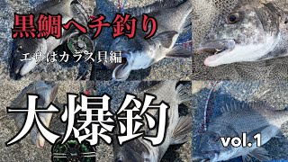 黒鯛ヘチ釣り　エサはカラス貝編　vol.1