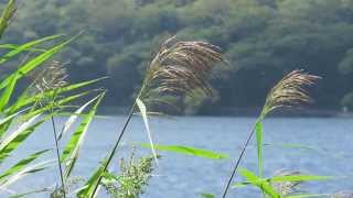 「かえる。」さんが行く。（赤城でコラキャンしてみた編。）