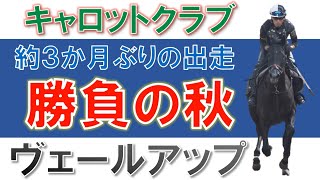 【一口馬主】約３ヶ月ぶりの出走。勝負の秋だ！ヴェールアップ