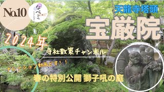 【宝厳院】天龍寺塔頭　#獅子吼の庭　◉嵐山の寺院◉春の特別公開