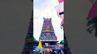 #வடபழனி #முருகன் #கோவில் #Vadapalani #MuruganTemple🙏 🙏🙏