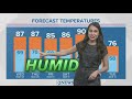 Humidity and warm temperatures continue