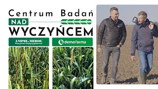 Centrum Badań nad Wyczyńcem - nowa seria Ampol-Merol | Demo Farma