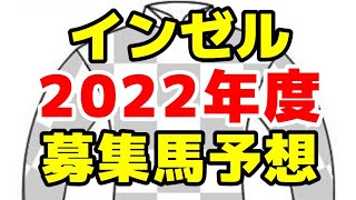 【インゼル】2022年度募集馬予想