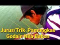 JURUS/TRIK PAMUNGKAS BERBURU / MANCING MENCARI TARGET IKAN NILA BABON, SPOT BAGAI GOYANG KOPLO