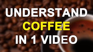 Understand Coffee In 1 Video