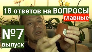 ОРХИДЕЯ В ДОМАШНИХ УСЛОВИЯХ, закрытая система и групповая посадка орхидей