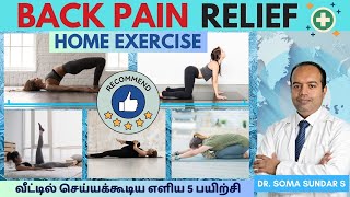 TOP 5 Home EXERCISE for Back Pain | முதுகு வலி குறைக்க! | Dr Soma Sundar #backpainexercises #tamil