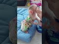 Tiny Jinna So Hungry She Cannot Wait Mom Mixed Milk #cute #cuteanimals #animals